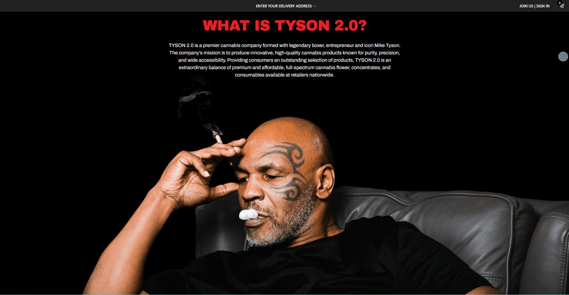 5 Examples of Great Cannabis Branding From Tyson 2.0 Website
